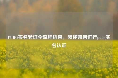 PUBG实名验证全流程指南,教你如何进行pubg实名认证