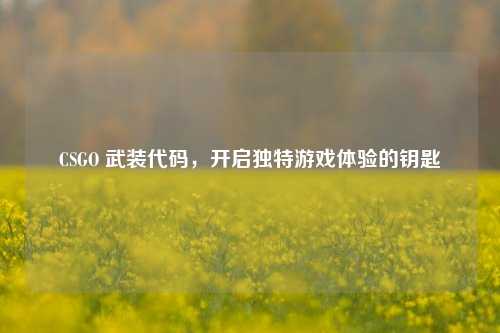 CSGO 武装代码，开启独特游戏体验的钥匙