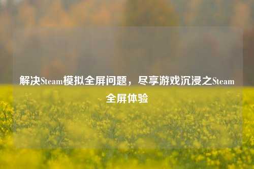 解决Steam模拟全屏问题,尽享游戏沉浸之Steam全屏体验