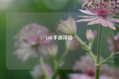 LOL手游评价