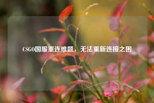 CSGO国服重连难题,无法重新连接之困