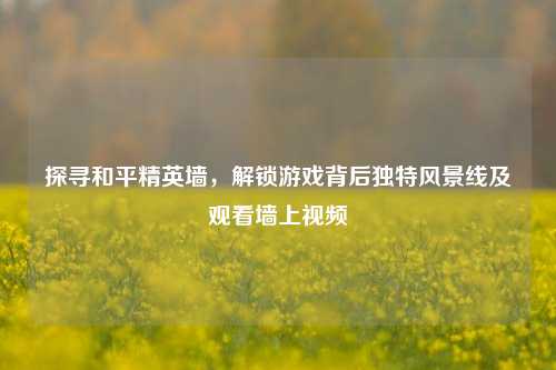 探寻和平精英墙,解锁游戏背后独特风景线及观看墙上视频