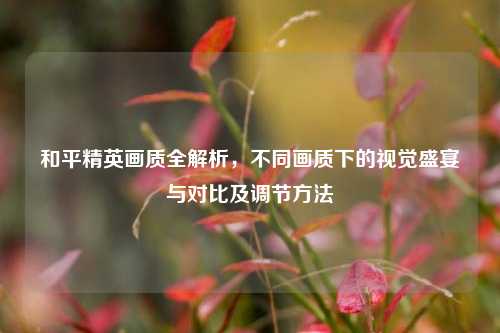 和平精英画质全解析,不同画质下的视觉盛宴与对比及调节方法
