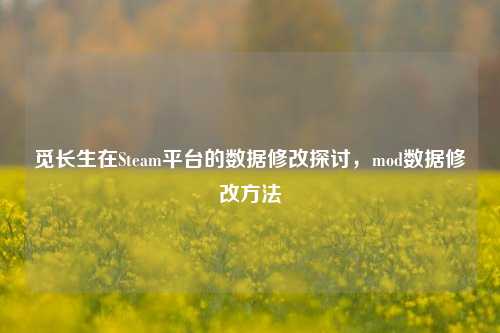 觅长生在Steam平台的数据修改探讨,mod数据修改方法
