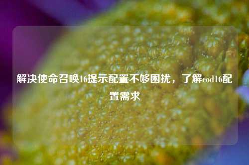 解决使命召唤16提示配置不够困扰,了解cod16配置需求