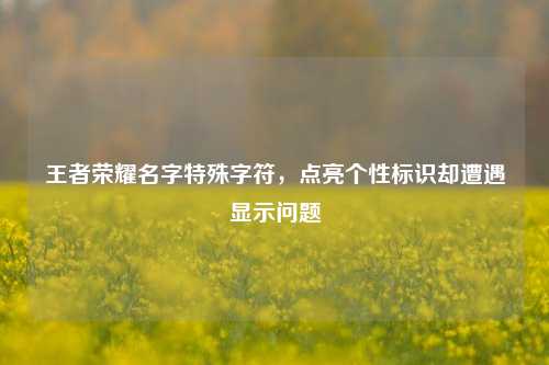 王者荣耀名字特殊字符,点亮个性标识却遭遇显示问题