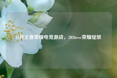 11月王者荣耀电竞激战，2026ewc荣耀绽放