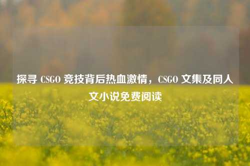 探寻 CSGO 竞技背后热血激情,CSGO 文集及同人文小说免费阅读