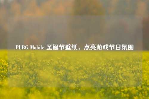 PUBG Mobile 圣诞节壁纸,点亮游戏节日氛围