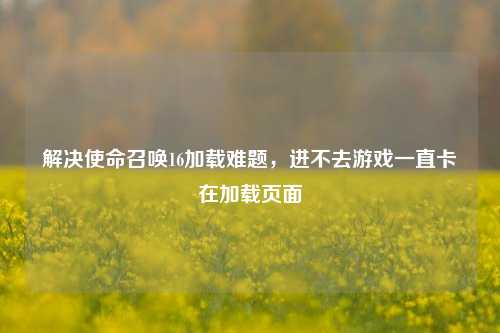 解决使命召唤16加载难题,进不去游戏一直卡在加载页面