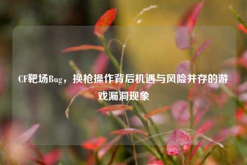 CF靶场Bug,换枪操作背后机遇与风险并存的游戏漏洞现象