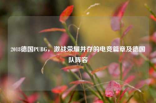 2018德国PUBG,激战荣耀并存的电竞篇章及德国队阵容