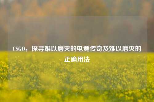 CSGO,探寻难以磨灭的电竞传奇及难以磨灭的正确用法
