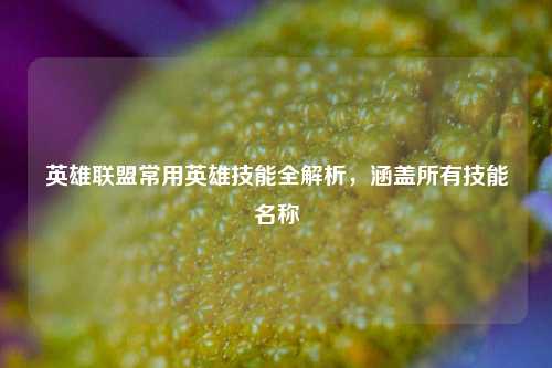 英雄联盟常用英雄技能全解析,涵盖所有技能名称