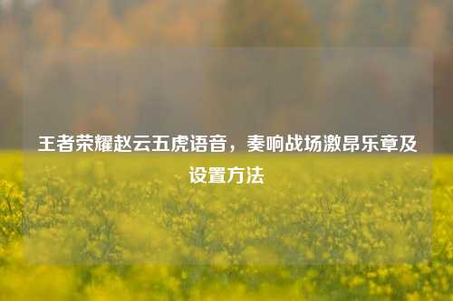 王者荣耀赵云五虎语音,奏响战场激昂乐章及设置方法