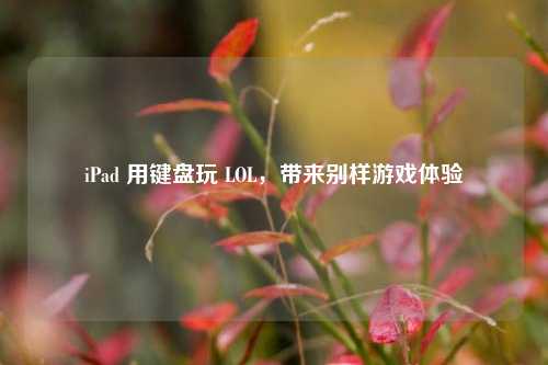 iPad 用键盘玩 LOL,带来别样游戏体验