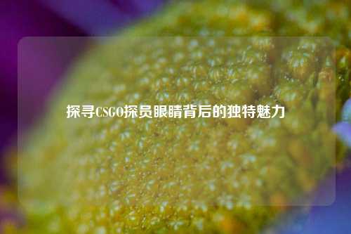 探寻CSGO探员眼睛背后的独特魅力