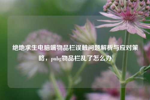 绝地求生电脑端物品栏误触问题解析与应对策略，pubg物品栏乱了怎么办