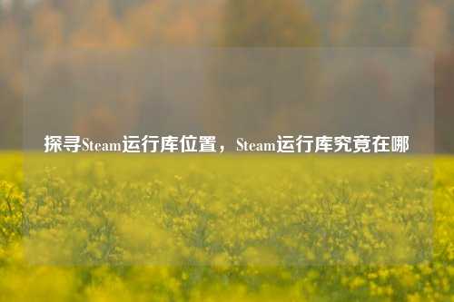探寻Steam运行库位置,Steam运行库究竟在哪