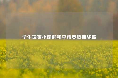 学生玩家小凤的和平精英热血战场