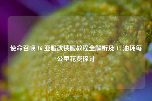 使命召唤 16 亚服改俄服教程全解析及 14 油耗每公里花费探讨