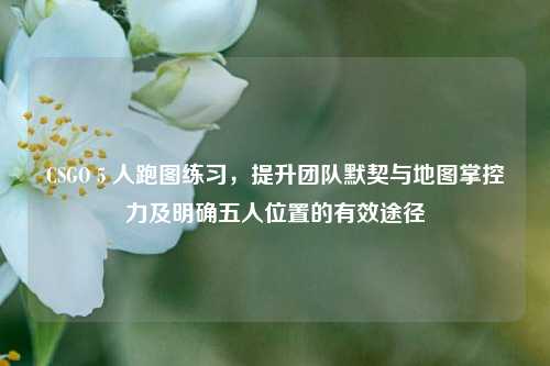 CSGO 5 人跑图练习，提升团队默契与地图掌控力及明确五人位置的有效途径