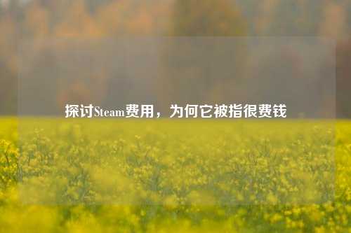 探讨Steam费用，为何它被指很费钱