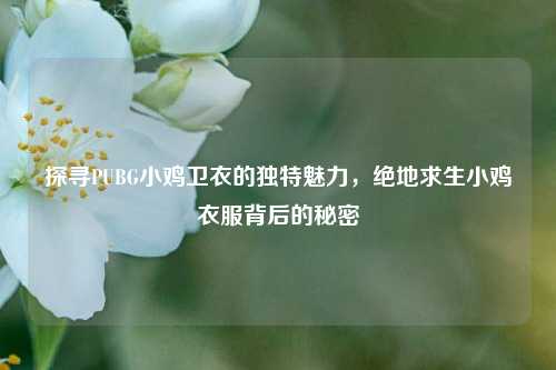 探寻PUBG小鸡卫衣的独特魅力，绝地求生小鸡衣服背后的秘密
