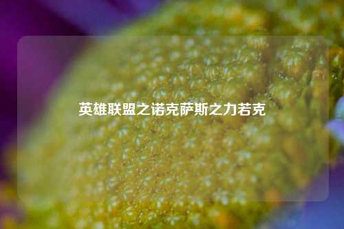 英雄联盟之诺克萨斯之力若克