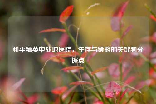 和平精英中战地医院，生存与策略的关键狗分据点