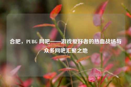 合肥,PUBG 网吧——游戏爱好者的热血战场与众多网吧汇聚之地