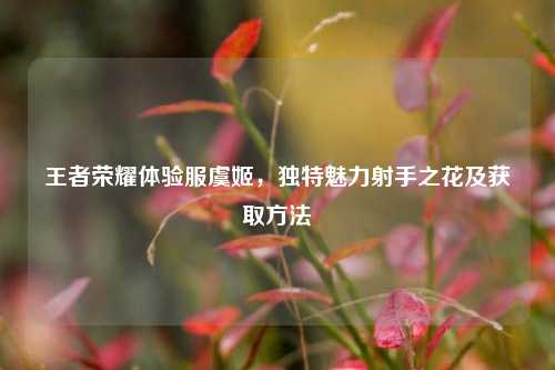 王者荣耀体验服虞姬,独特魅力射手之花及获取方法