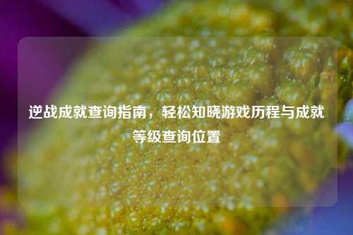 逆战成就查询指南,轻松知晓游戏历程与成就等级查询位置