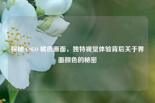 探秘 CSGO 橘色画面,独特视觉体验背后关于界面颜色的秘密