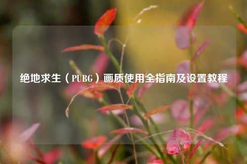 绝地求生(PUBG)画质使用全指南及设置教程