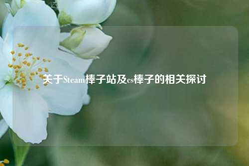 关于Steam棒子站及cs棒子的相关探讨