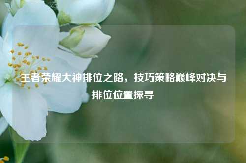 王者荣耀大神排位之路,技巧策略巅峰对决与排位位置探寻