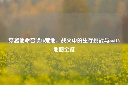穿越使命召唤16荒地,战火中的生存挑战与cod16地图全览
