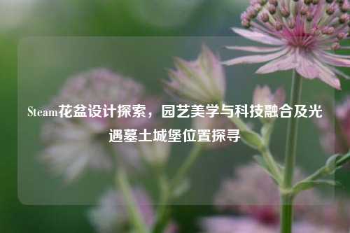 Steam花盆设计探索,园艺美学与科技融合及光遇墓土城堡位置探寻