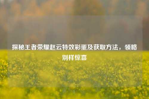 探秘王者荣耀赵云特效彩蛋及获取方法,领略别样惊喜