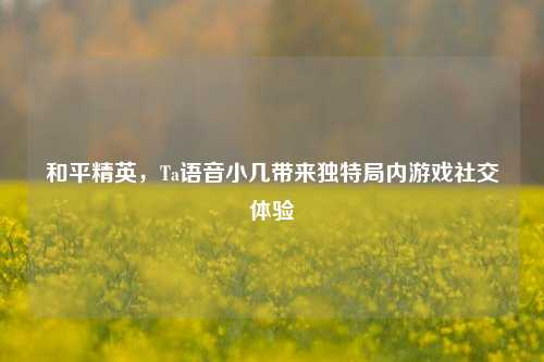 和平精英,Ta语音小几带来独特局内游戏社交体验
