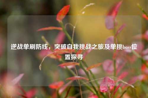 逆战单刷防线,突破自我挑战之旅及单挑boss位置探寻