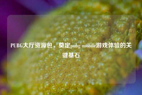 PUBG大厅资源包,奠定pubg mobile游戏体验的关键基石