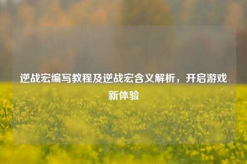 逆战宏编写教程及逆战宏含义解析,开启游戏新体验