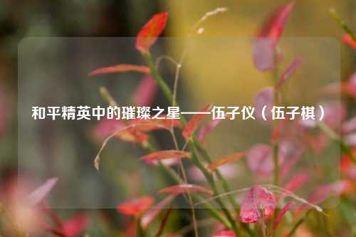 和平精英中的璀璨之星——伍子仪（伍子棋）