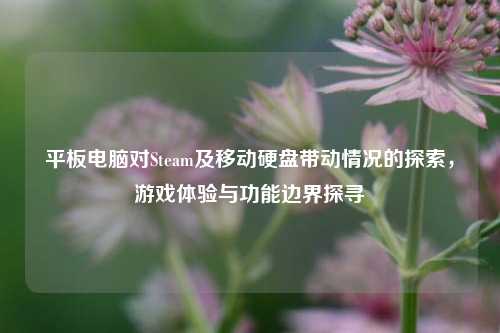 平板电脑对Steam及移动硬盘带动情况的探索，游戏体验与功能边界探寻