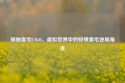 探秘血宅CSGO,虚拟世界中的惊悚血宅迷局角逐