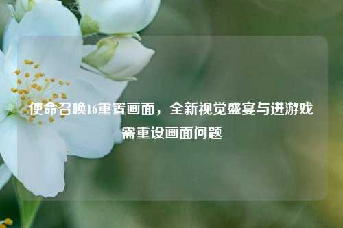 使命召唤16重置画面，全新视觉盛宴与进游戏需重设画面问题