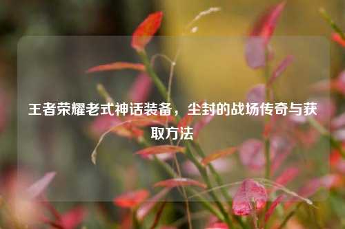 王者荣耀老式神话装备,尘封的战场传奇与获取方法