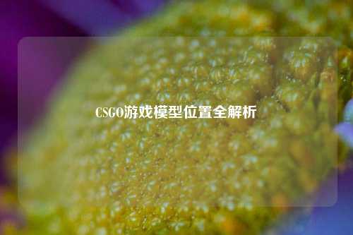 CSGO游戏模型位置全解析